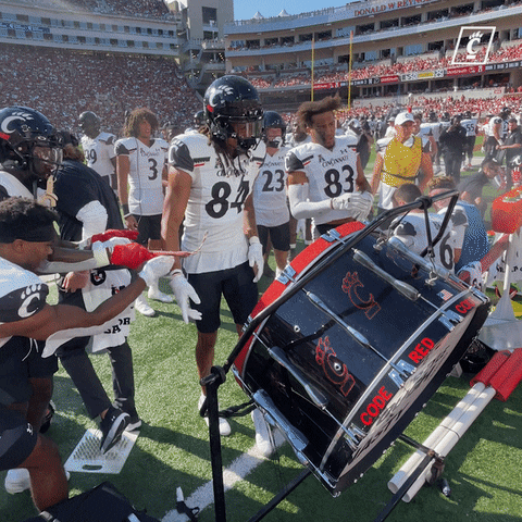 University Of Cincinnati Touchdown GIF by Cincinnati Bearcats