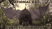 bat GIF by Spirit Halloween