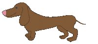 Dog Snooping Sticker by WIE AM SCHNUERCHEN