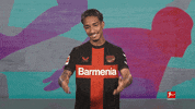 Waving Come On GIF by Bundesliga