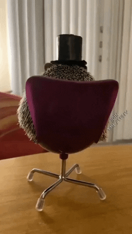 GifVif giphyupload GIF