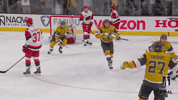 Stanley Cup Playoffs Hug GIF by NHL