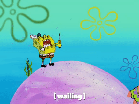 season 4 GIF by SpongeBob SquarePants