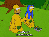 homer simpson GIF