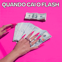 flashapp flash dinheiro notas flashbeneficios GIF