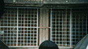 Fun Sunglasses GIF by Oliver Tree