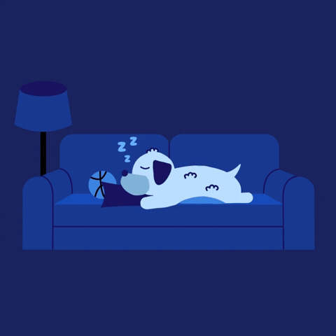 Good Night! Sleepy Dog