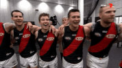happy sport GIF by Essendon FC