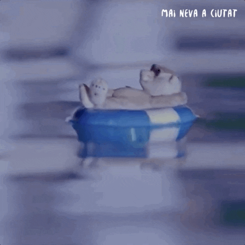 Mai Neva A Ciutat GIF by IB3