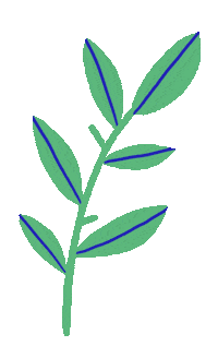 Plant Garden Sticker by Marie Boiseau