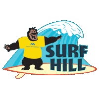 Waterpark Sticker by Mountain Creek