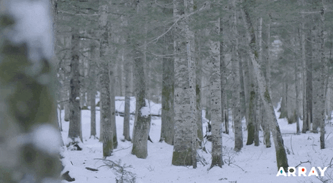 Japan Snow GIF by Array