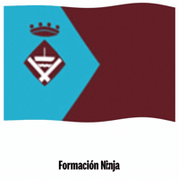 Flag Barcelona GIF by Formación Ninja
