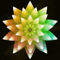 transgreaser flower lgbt lgbtq queer GIF