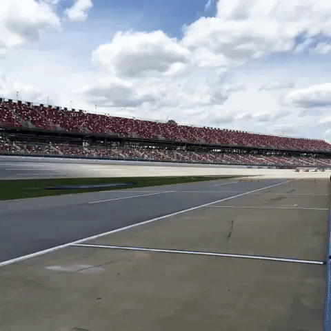 nascar GIF by Richard Childress Racing