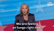 Democratic National Convention Election GIF by PBS News