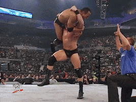 wwe sports wwe wrestling 2002 GIF