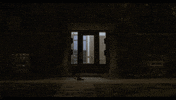 Music Video Owen GIF by Polyvinyl Records