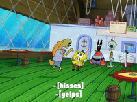 season 8 GIF by SpongeBob SquarePants
