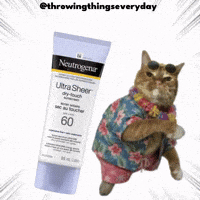 Cat Throwing GIF