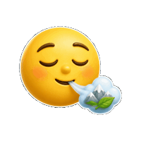 Gesundheit Sticker by Bad Reichenhall