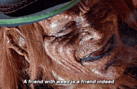 St Patricks Day Bff GIF by slicedbread