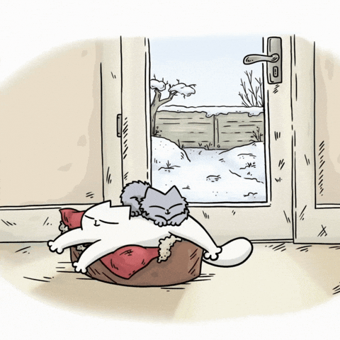Wakey Wakey Lol GIF by Simon's Cat
