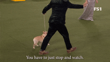 You Have To Just Stop And Watch