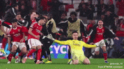 Real Madrid Benfica GIF