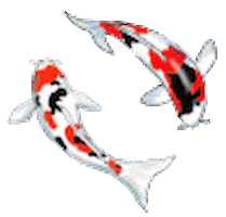 Fish Sticker