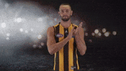 Afl Hawks GIF by Hawthorn Football Club