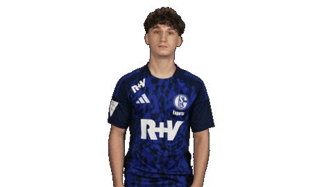 Schalke 04 What Sticker by Bundesliga