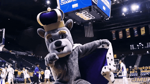 Happy Sport GIF by James Madison University
