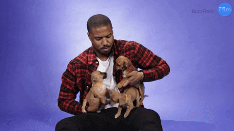 Michael B Jordan GIF by BuzzFeed