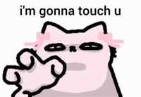 Spainnubcat GIF