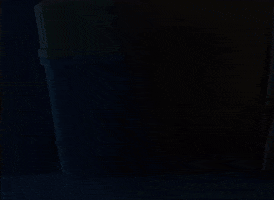 Sojourn GIF by Overwatch