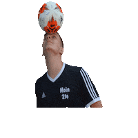 Felix Sticker by FSV Farnewinkel/Nindorf