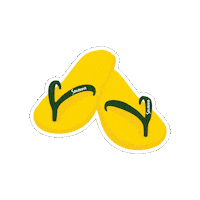 Summer Festival Sticker by SavannaCider
