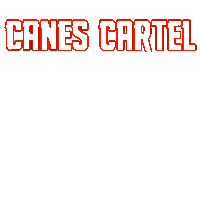 Football Miami Sticker by Canes Cartel