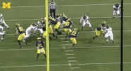 College Football Touchdown GIF by Michigan Athletics