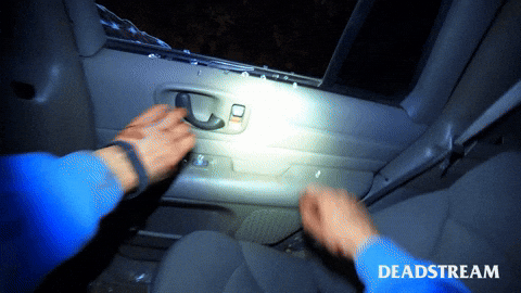 Lets Go GIF by Deadstream