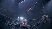 Circus Balance GIF by Ringling Bros. and Barnum & Bailey