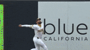 San Diego Padres Sport GIF by MLB