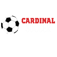 Soccer Texas Sticker by Lamar University