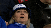 Bundesliga Fan GIF by FC Schalke 04