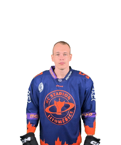 Sport Hokej Sticker by HCSTADION