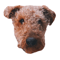 capeclasp dog beach cute dog fishy Sticker
