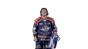 Ducs Dangers Hockey Sticker by Les Ducs d'Angers