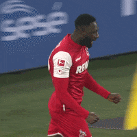1 Fc Cologne Football GIF by 1. FC Köln