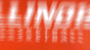 Lets Go Basketball GIF by Fighting Illini Athletics